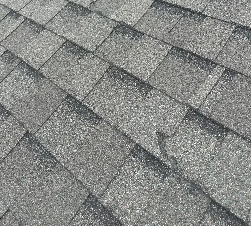 Example shingle roof by Epoch Roofing